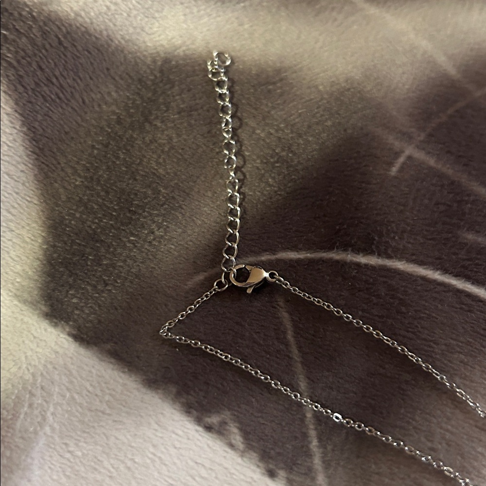 RARE!! Taylor Swift official Meredith & Olivia Swift necklace Reputation era - Picture 5 of 8